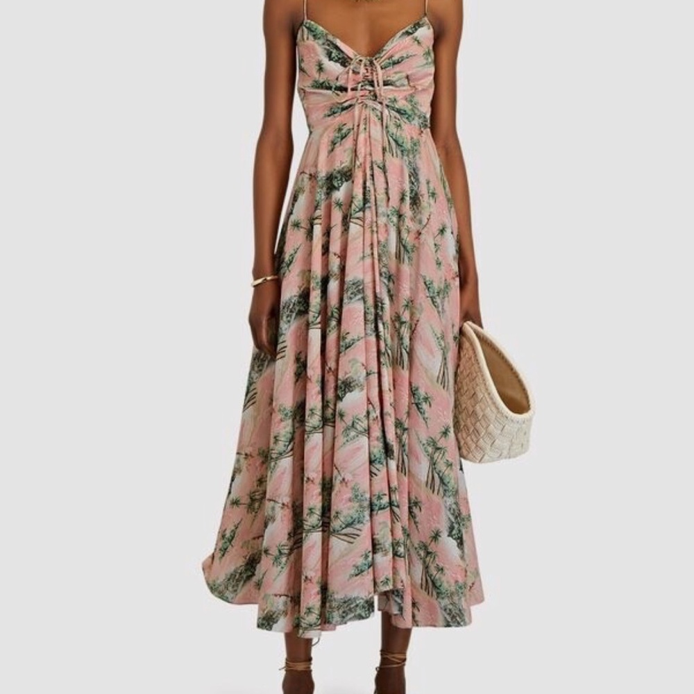 Cara Cara Pleated Ruched Maxi Dress in Palm and Pink